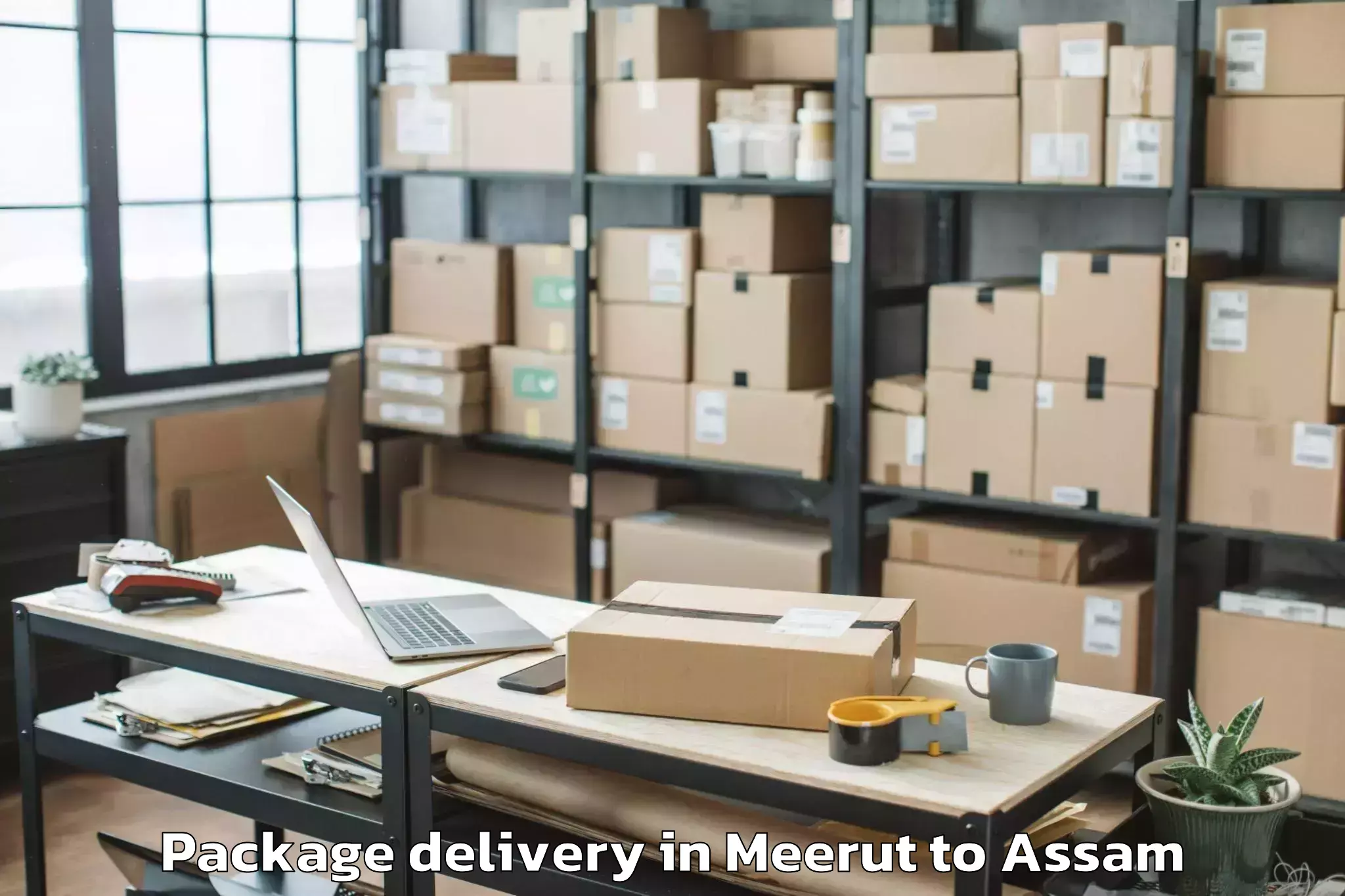 Book Meerut to Bijni Package Delivery Online